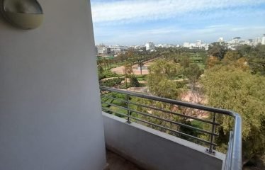 Appartement En Location Meublé Sur Palmier