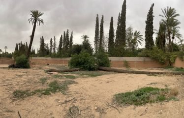 Terrain pour villa À vendre sur Marrakech